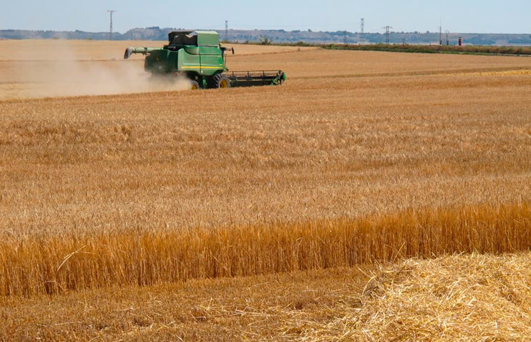 La tendencia vuelve a virar a favor de los agricultores y regresan las subidas generalizadas al cereal salvo en la avena y cebada