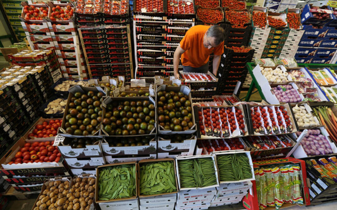 Made in Spain desde el campo a la etiqueta: Campaña de sanciones contra el reetiquetado de productos hortofrutícolas importados