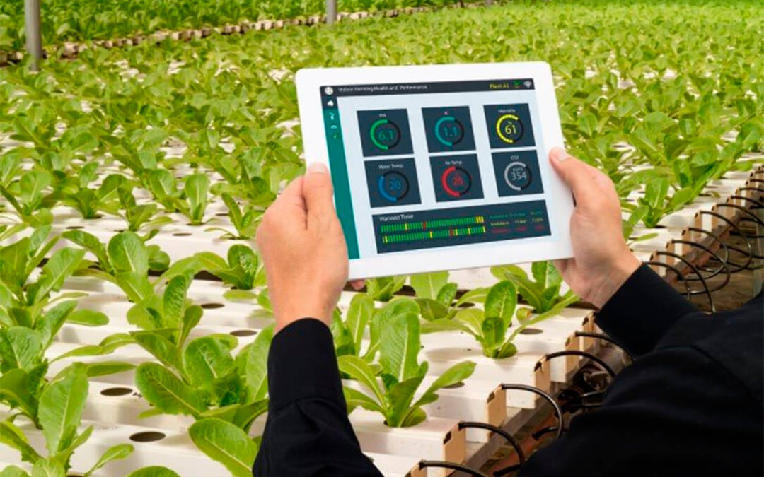 La revolución tecnológica no es solo para agricultores, es para toda la cadena