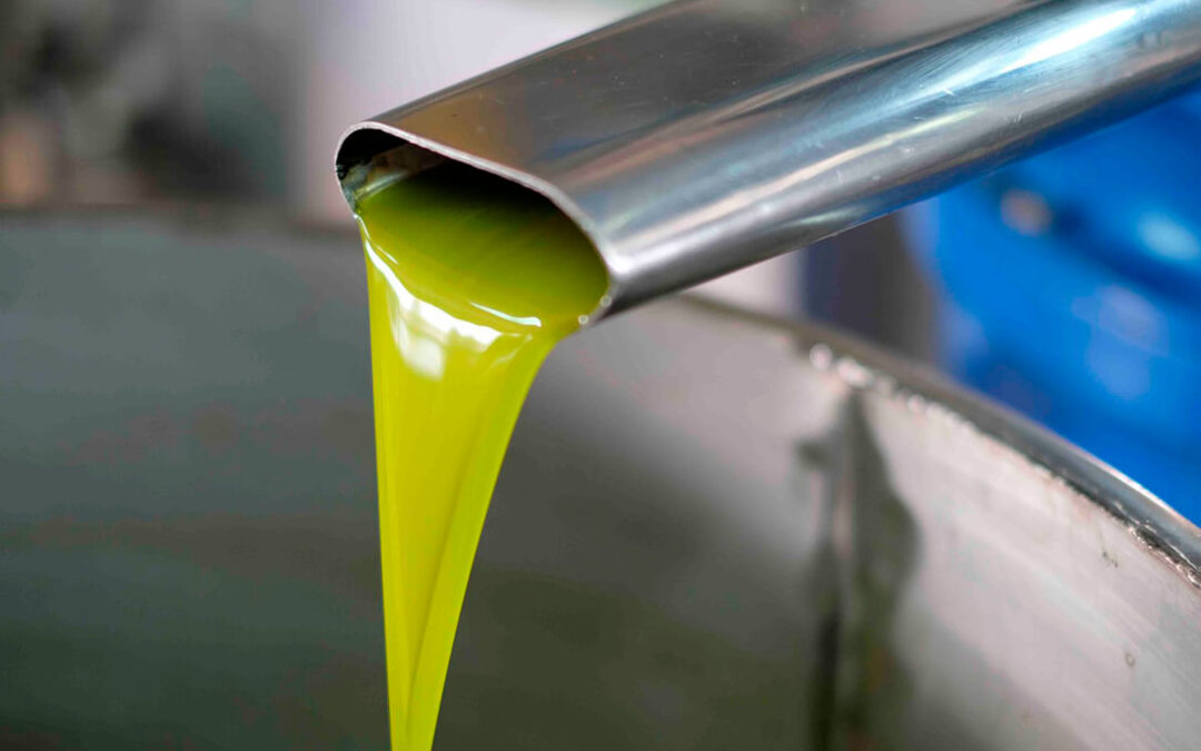 Publicado un decálogo de buenas prácticas para garantizar la calidad del aceite de oliva virgen extra