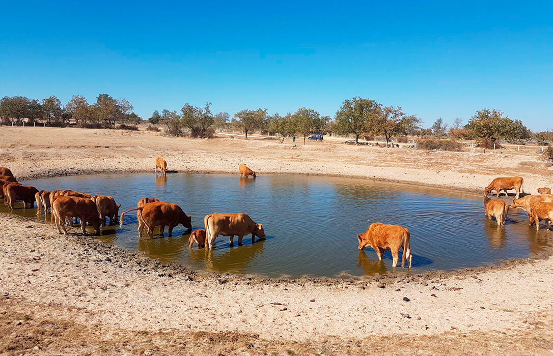 Balance climático de AEMET: Noviembre ha sido el mes más cálido de la última década aunque normal en cuanto a precipitaciones