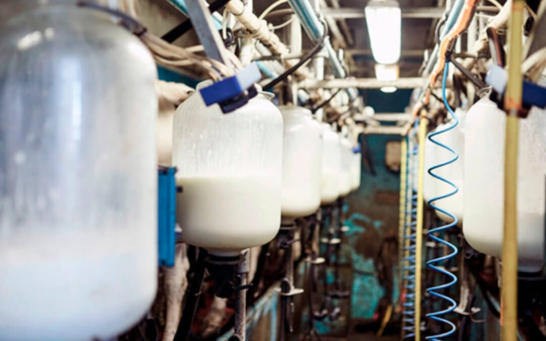 El nuevo presidente de Inlac ve la unidad de acción como algo esencial ante la multitud de retos que debe afrontar el sector lácteo