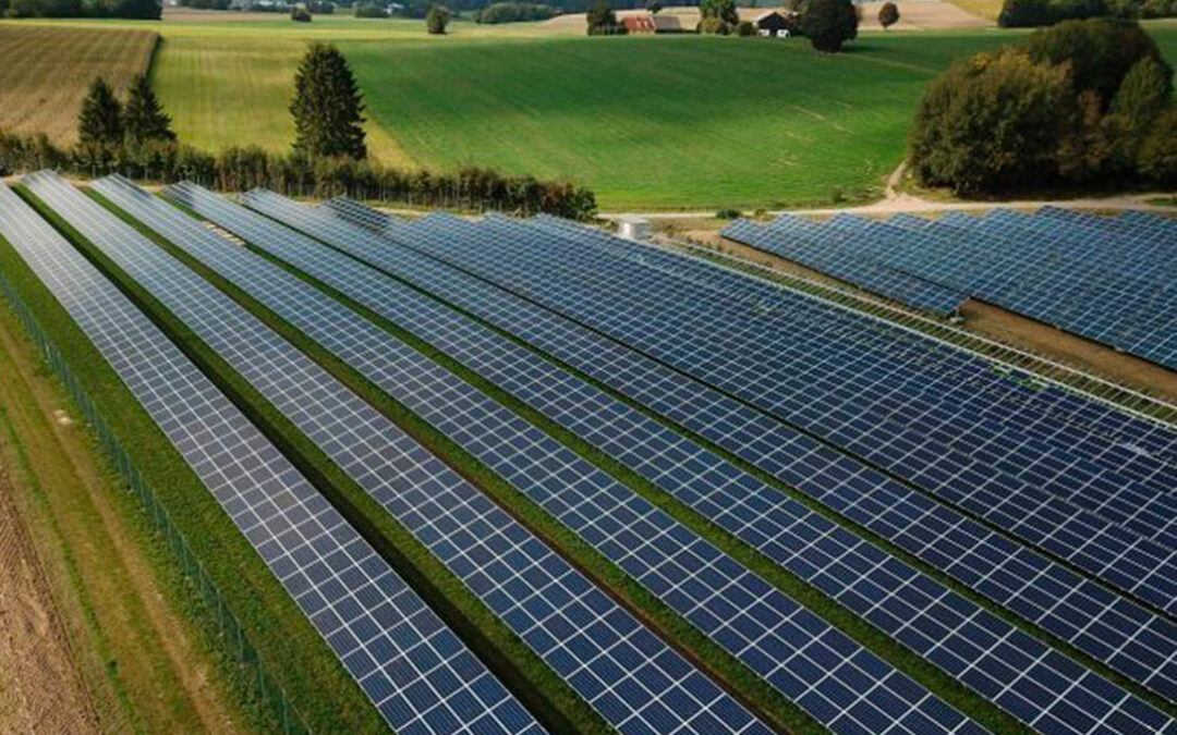 Acusan a juntas vecinales y ayuntamientos de expulsar a los agricultores de sus tierras para construir macroplantas fotovoltaicas