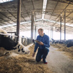 ‘La fuerza del colectivo’: Unión entre afectados para una demanda de 1.500 millones de euros contra el cártel de la leche 1