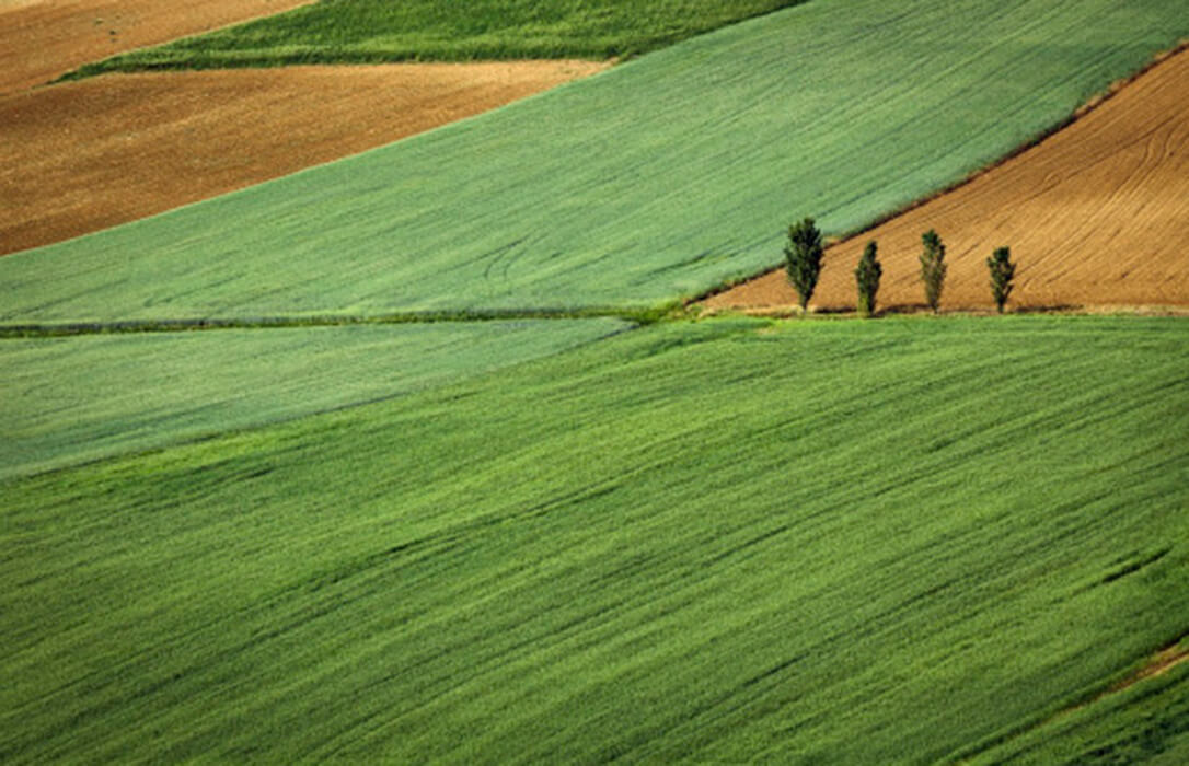 The agricultural sector defends the well-being of the land, vital for its survival but also for the territory to stay alive