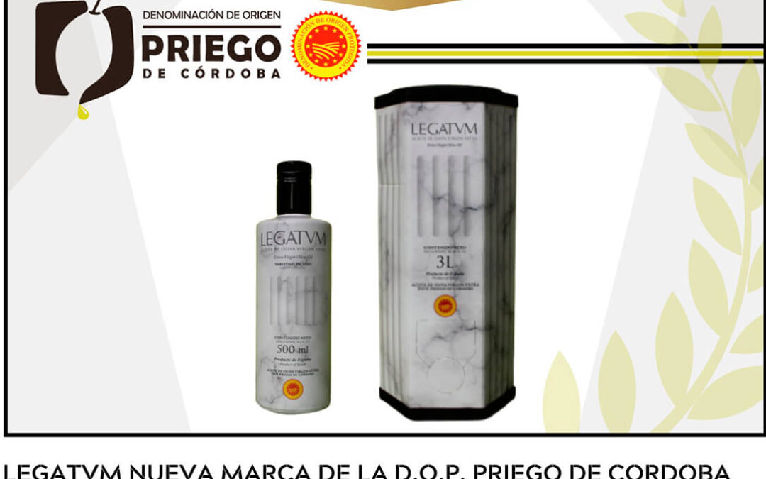 Legatum, la nueva marca de la DOP Priego de Córdoba procedente de una explotación con olivos milenarios