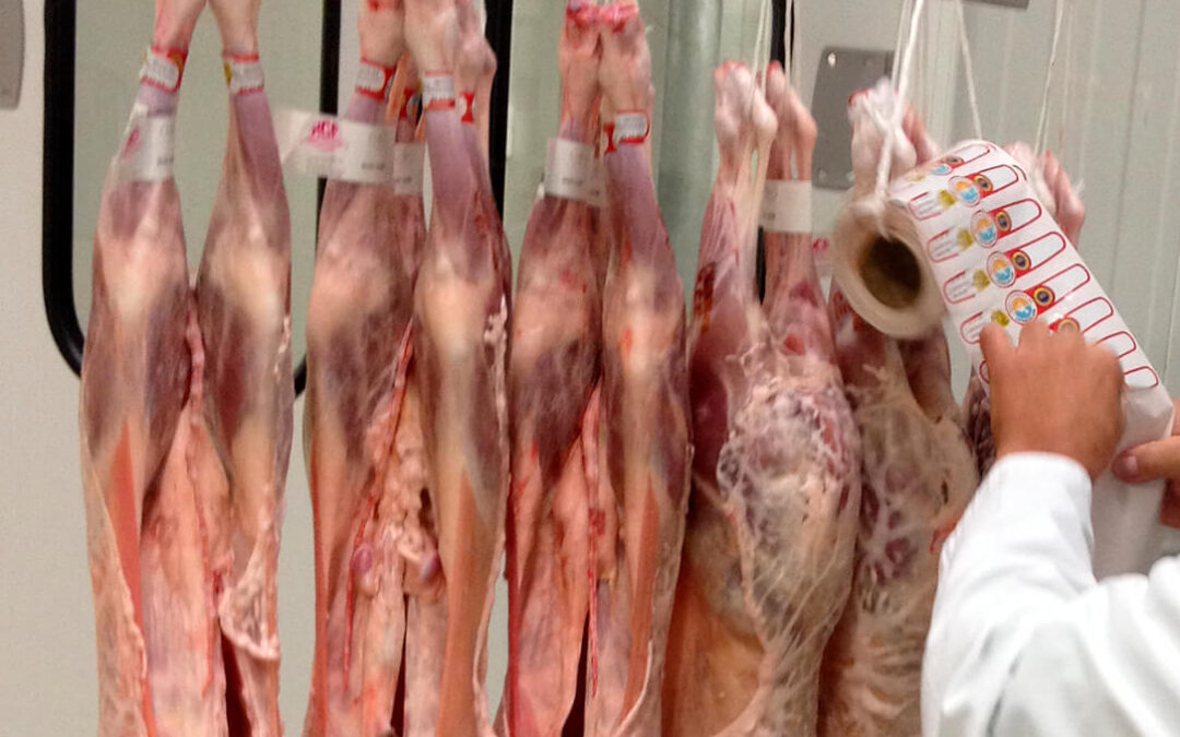 Indignación por la llegada masiva de corderos foranéos que se venden con sello de CyL al ser sacrificados en los mataderos de la región
