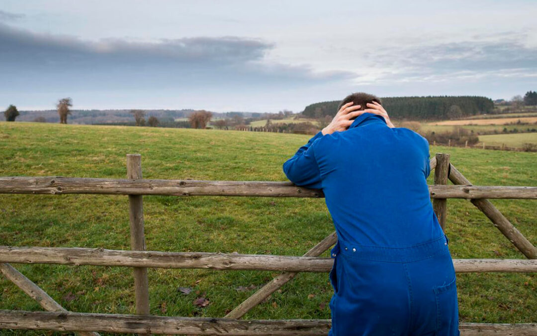 Venta a pérdidas, soledad, exigencias,… el suicidio de agricultores y ganaderos franceses hace reaccionar al Gobierno galo