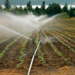 Cajamar Innova lanza una convocatoria para incorporar a su incubadora proyectos innovadores en gestión del agua 4 Cajamar Innova lanza una convocatoria para incorporar a su incubadora proyectos innovadores en gestión del agua 3