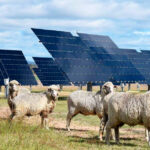 Nueva denuncia por haber graves irregularidades para la licitación de terrenos de una planta fotovoltaica 1