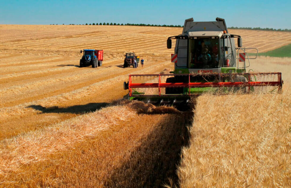 Extremadura destina en torno a 200.000 hectáreas a cereal de invierno