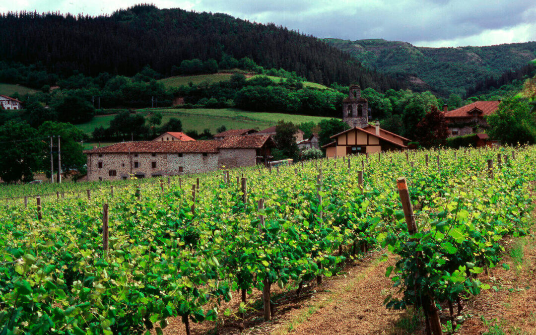 El MAPA informa a las CCAA de las medidas excepcionales al sector del vino en forma de destilación o de ayudas al almacenamiento privado