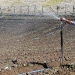 El Gobierno insiste en mantener su apuesta por nuevas tarifas para bajar los costes eléctricos del agricultor 3