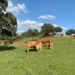 El Covid frena la tendencia de crecimiento sostenido de Ovipor, pese a que logra mantener su nivel de facturación 4 El Covid frena la tendencia de crecimiento sostenido de Ovipor, pese a que logra mantener su nivel de facturación 3