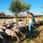 La Escuela de Pastores de Andalucía organiza un seminario online para impulsar la incorporación de jóvenes al sector ganadero 1