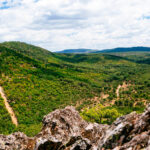El Colegio Oficial de Ingenieros de Montes y Serranía Celtibérica suman esfuerzos por el reto demográfico y el desarrollo rural 3