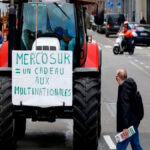 Tres grandes organizaciones de productores europeos lanzan una nueva campaña para explicar el rechazo al pacto con Mercosur 1