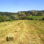 El rechazo de la reforma de la PAC por parte de Andalucía en cifras: Denuncian las mentiras del Gobierno en su aplicación 4 El rechazo de la reforma de la PAC por parte de Andalucía en cifras: Denuncian las mentiras del Gobierno en su aplicación 3