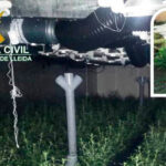 Un ganadero descubre más de 300 plantas de marihuana dentro de las instalaciones de su explotación 4 Un ganadero descubre más de 300 plantas de marihuana dentro de las instalaciones de su explotación 3