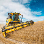 Las reservas globales de cereales caerán a su nivel más bajo en cinco años por los datos de China 3