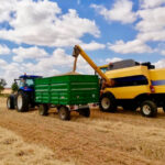 Se estabilizan los precios de los cereales y los mercados toman aire aunque con dudas sobre el precio de la cebada 4 Se estabilizan los precios de los cereales y los mercados toman aire aunque con dudas sobre el precio de la cebada 3