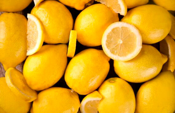 ASAJA Murcia crea la Sectorial de Cítricos para «buscar soluciones» a la actual crisis de precios en el limón