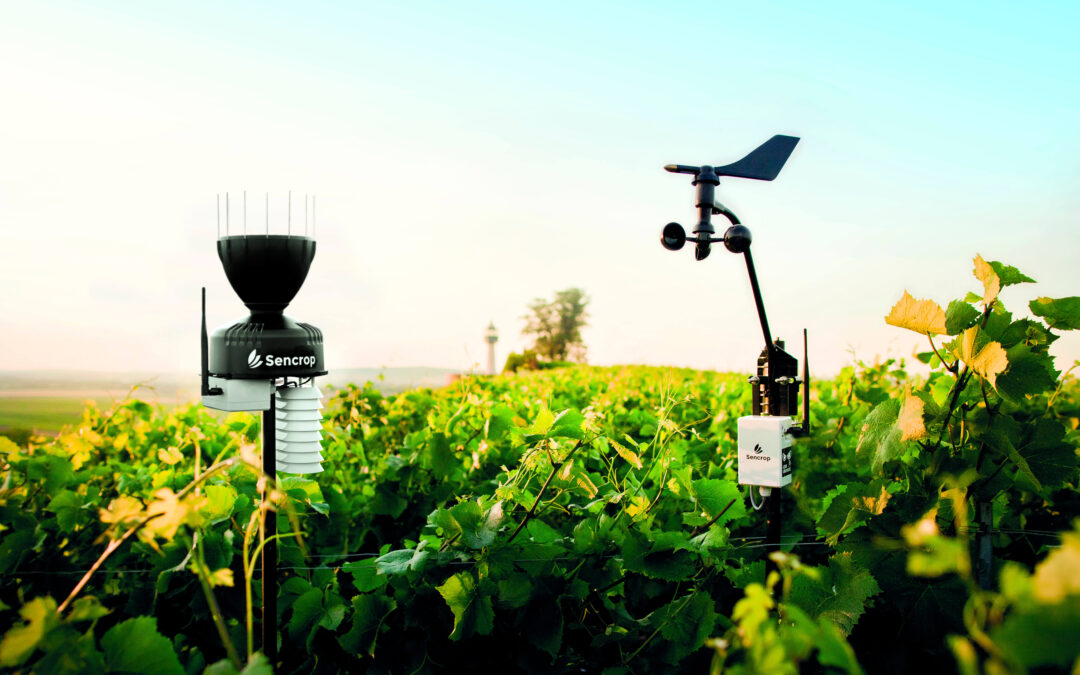 Sencrop lanza en España sus estaciones agroclimáticas con una app para asegurar la máxima eficiencia en la gestión de sus cultivos