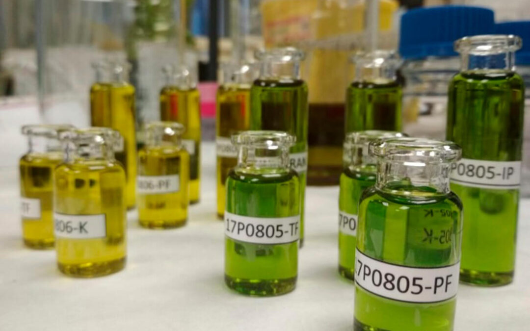 Un consorcio crea un sistema para detectar adulteraciones en el aceite de oliva y evitar los fraudes