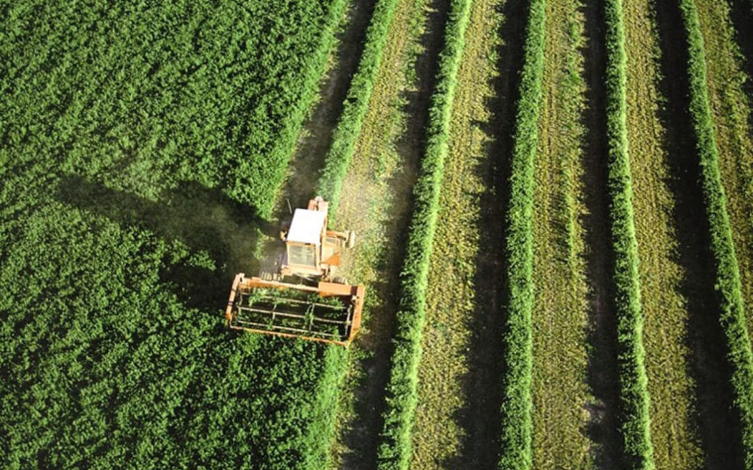 Séneca Green y Novagric sellan una alianza para potenciar la agricultura de alto rendimiento mirando a los ecoesquemas de la PAC