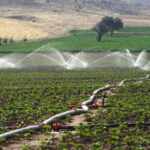 Agua y Medio Ambiente 1