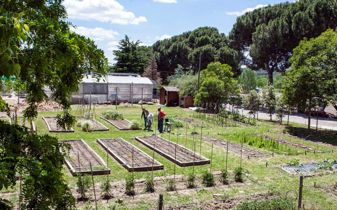 Sociedad y universidades públicas de Madrid se unen para impulsar una alimentación sostenible y ecológica en los campus