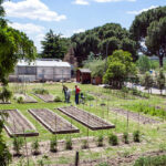 Sociedad y universidades públicas de Madrid se unen para impulsar una alimentación sostenible y ecológica en los campus 1