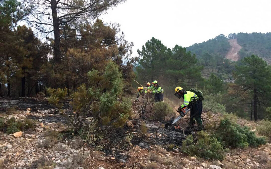 La Fundación Savia se suma a reclamar a la Junta andaluza que debe resolver las convocatorias de ayudas dirigidas al sector forestal