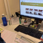 El ‘Ebay’ del ganado: La cooperativa Lorra crea la primera plataforma de subasta online de ganado 1