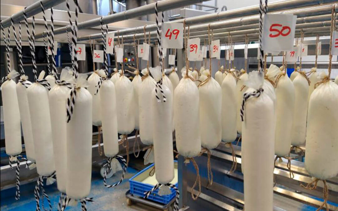 El IRTA y Montbrú desarrollan un nuevo tipo de queso de leche de cabra con forma de embutido dentro del proyecto Embochees