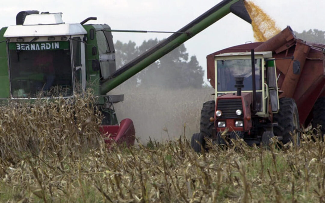 Una propuesta del Ministerio para los ecoesquemas de la nueva PAC aboca a una reducción de 20.000 hectáreas de maíz en León