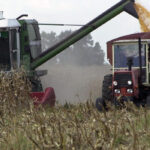 Una propuesta del Ministerio para los ecoesquemas de la nueva PAC aboca a una reducción de 20.000 hectáreas de maíz en León 1