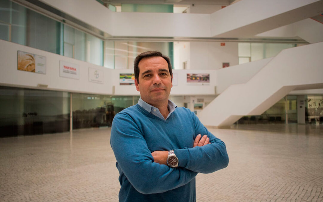 Pedro Gallardo (Asaja), reelegido como presidente del Grupo de Trabajo de Oleaginosas de Copa-Cogeca en la UE