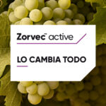 Corteva Agriscience presenta la gama Zorvec™ Active®, la solución fungicida antimildiu que lo cambia todo 1