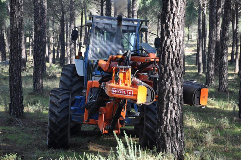 Andalucía publica la resolución de ayudas forestales por valor de 63,3 millones de euros