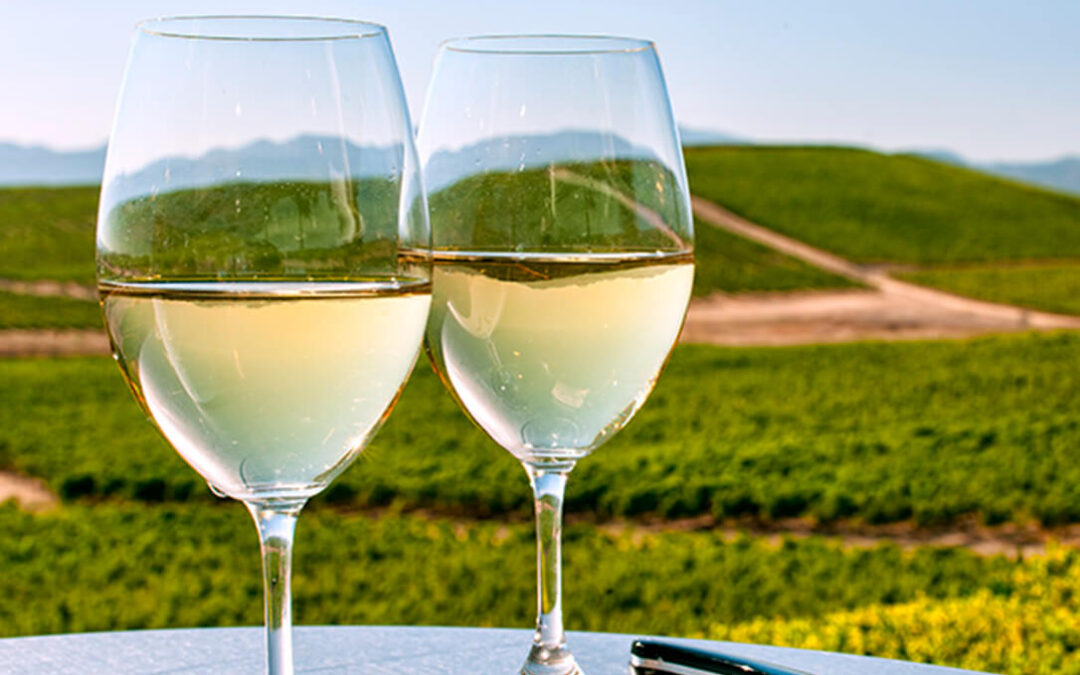 La cosecha de vinos blancos Condado de Huelva 2020 obtiene la calificación de ‘buena’