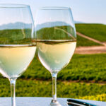 La cosecha de vinos blancos Condado de Huelva 2020 obtiene la calificación de ‘buena’ 1