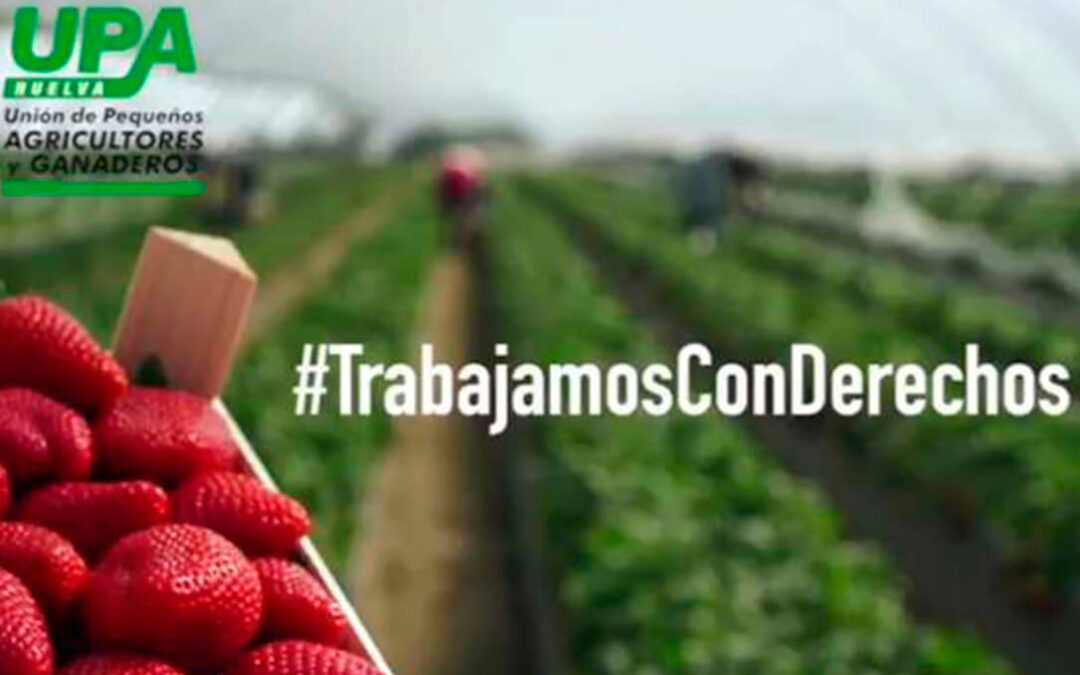 Lanzan una iniciativa en apoyo para dignificar el trabajo de los agricultores/as de la campaña de frutos rojos
