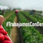 Lanzan una iniciativa en apoyo para dignificar el trabajo de los agricultores/as de la campaña de frutos rojos 1