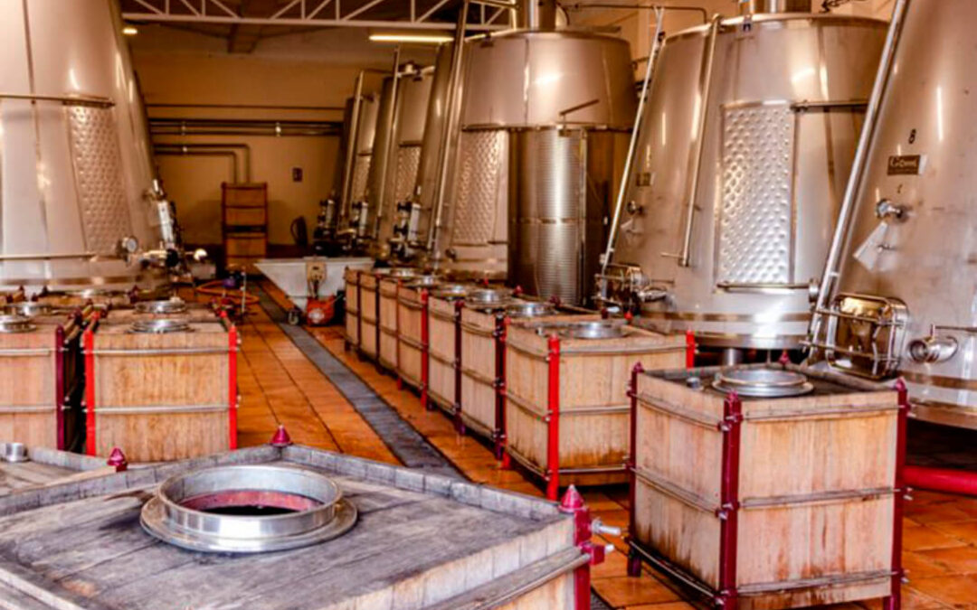 Bodegas Verum elaborará el primer vino con emisiones negativas de CO2 con la cosecha de 2021