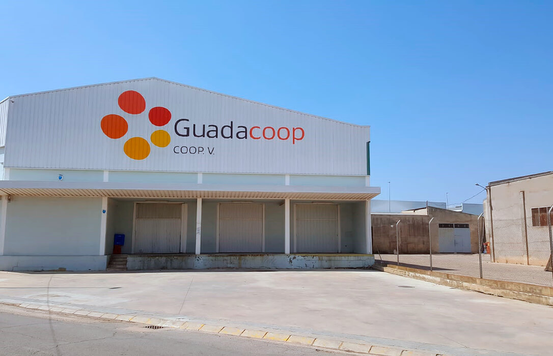 La cooperativa Guadacoop impulsa el papel de la mujer en la toma de ...
