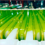 Fin de campaña: Destaca la buena salud de la comercialización de aceite de oliva y la subida de los precios en origen 3