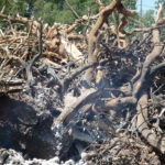 Satisfacción porque se haya acordado prorrogar las quemas en terrenos forestales para abril 1