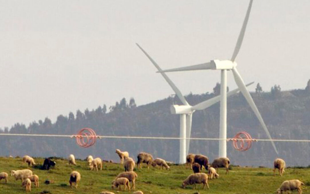 Los agricultores y ganaderos recelan del auge de las energías renovables por el uso de la tierra y porque marginar al propio sector