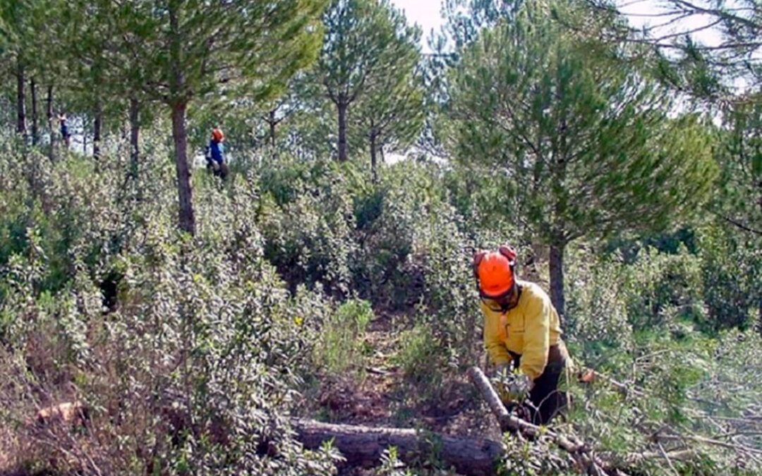 Junta de Andalucía y corporaciones locales de Almería colaboran en la gestión de 20.700 hectáreas forestales de 27 montes públicos